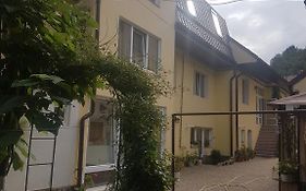 Apartament Teilor
